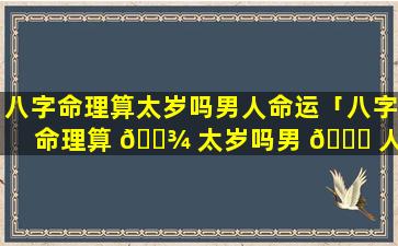 八字命理算太岁吗男人命运「八字命理算 🌾 太岁吗男 🐒 人命运怎么看」
